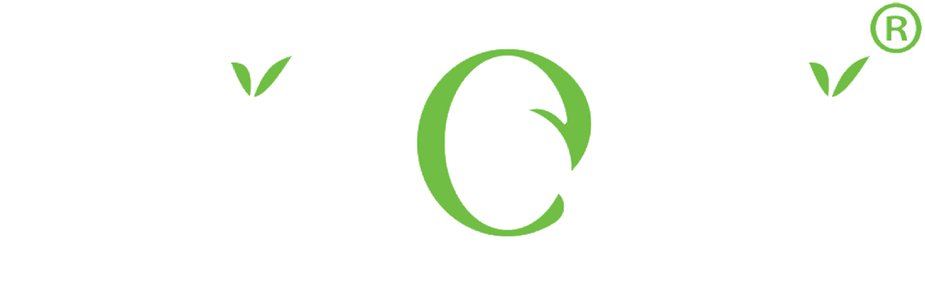 WAOW® – Gündelik Zarafet, Sınırsız Temizlik